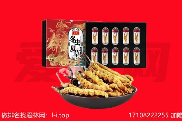 安顺关岭县回收虫草.jpg
